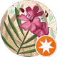BAHAR profil fotoğrafı