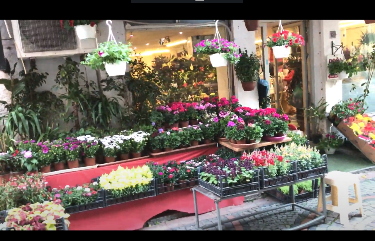 Doğa Çiçek Galerisi