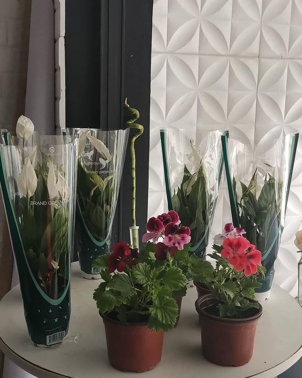 Karadağ Organizasyon & Çiçekcilik Edirne kır düğünü mekanı — Merkez