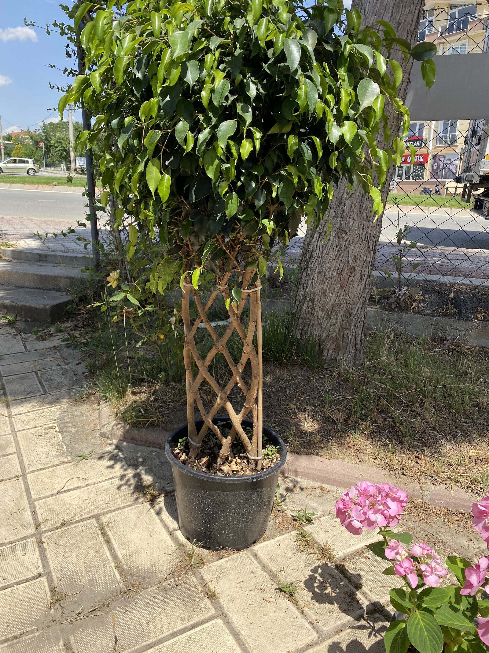 simay çiçekçilik