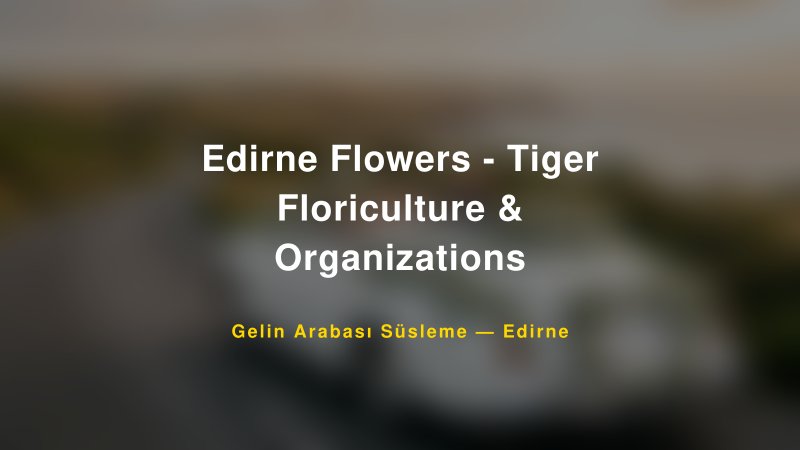 Edirne Flowers - Tiger Floriculture & Organizations ile Trend Gelin Arabası Yazıları ve Konseptleri — 1