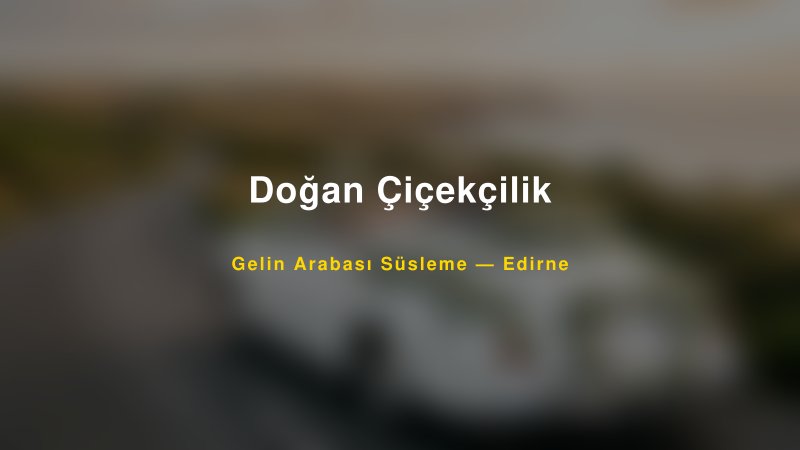 Doğan Çiçekçilik Gelin Arabası Süsleme Fiyatları — 1